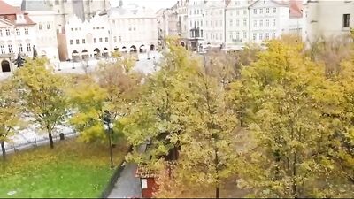 Three Musketeers Go Wild: A Bareback Threesome with Handjobs and Cum Shots