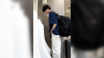 Japanese Toilet Erections