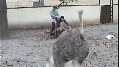 Rubax Video - A Gay Day of Affectionate Fun