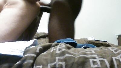 chocolate chip & whole milk