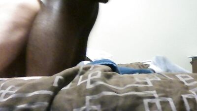 chocolate chip & whole milk