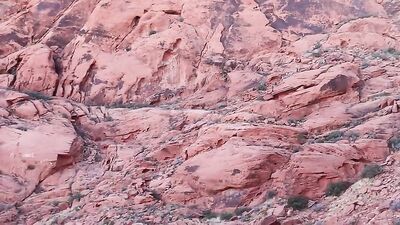 Amateur Blowjobs with Huge Cocks: Sucking, Deep Throating and Drinking Cum!