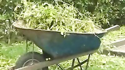 Latin Heat - Explosive Cumshots and Blowjobs with Hot Latin Lads!