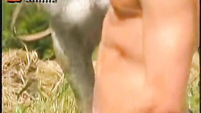 Vintage Hunks Going Down on the Lawn: A Tale of Huge Dicks and Sunny Days