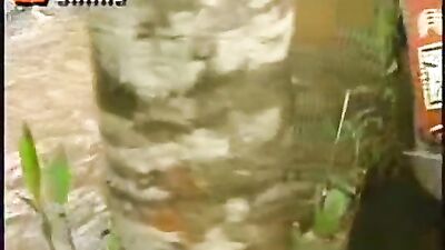 Vintage Hunks Going Down on the Lawn: A Tale of Huge Dicks and Sunny Days