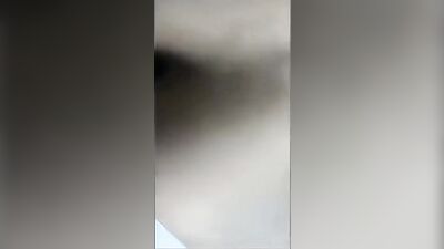 Tribbing Tats: Frat Boys Sucking and Fucking on Campus