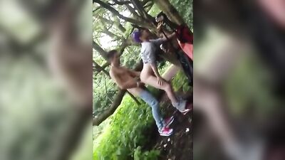 Twinks playing in the woods twink porn