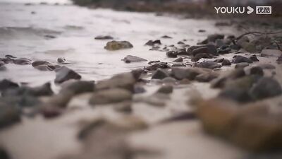 Thai Dream Series: Complete Collection - Asian Romance & Cute Boys