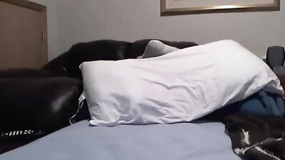 Cute blonde guy webcam solo - handsome blonde boy model on camera