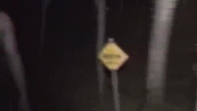 Snowy Secrets: Japanese Winter Night Festival