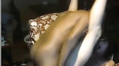 White boy sucks black dick in amateur webcam interracial action