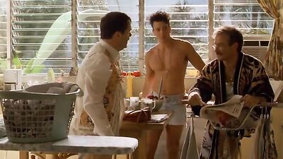 The Birdcage (1996): A Comedic Classic About LGBTQ Pride!