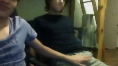 Young lads engaging in spontaneous erotic encounters through webcam