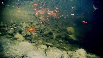 Monk and Priest: Fraternal Bareback Fun on the Altar