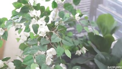 Massaging a buddys big cock to the point of no return!