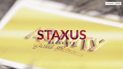 Bareback Action Scene 4: Double Penetration with Hand Job and Blowjob