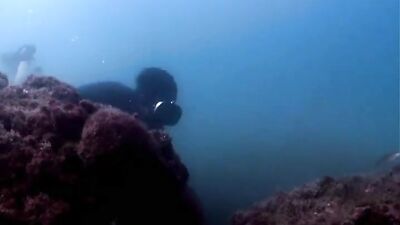 Gay Movies - Contrarere Current - Undertow (2009)