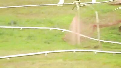 Gangbang: 5 Handsome Twinks Go Wild in the Parking Lot!