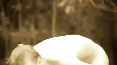 Euro Vintage Straights - Strandpatrouille (enhanced) - Action-Packed Fetish Fun on the Beach!