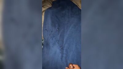 Unbridled Excitement and Pure Pleasure