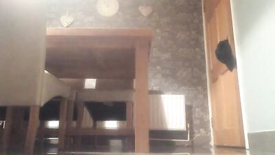 Young and Beautiful Boy Webcam Show: Fresh Twink with Huge Dick!