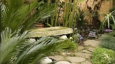 They loving outdoors - 318