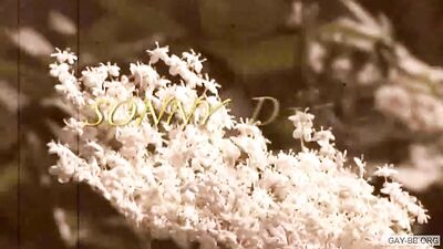 Young Twinks Get Naughty In The Classroom - Unprotected Bareback Cum Shots, Handjobs and Mouthfuls of Cum