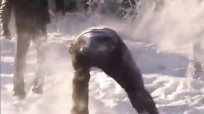 Irresistible Wonderland of Raw Pleasure: Uninhibited Bareback Fun!