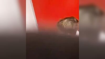 Voyeur Catches Gay Action on the Toilet in a Public Bathroom