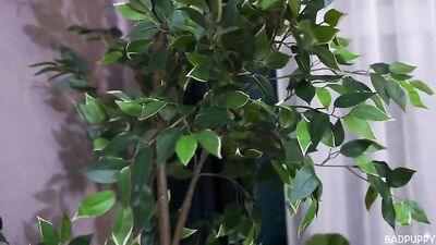 Handjob Action with Daniel Star and Ivan Kolos!