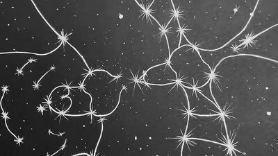 Muscle Men in Heat - Constellation of Action and Fun