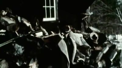 American Cream - Full Length, Blond Boy Action