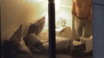 Gardener Caught Jerking Off in Public