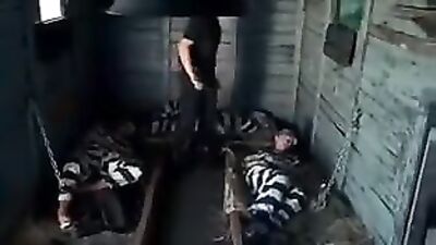 Inside The Big House: Twin Twinks Give Head And Action Cum Shots