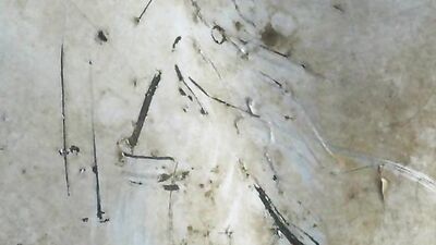 Rubax Video - Fuck U Bare Gay Porn Videos