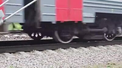 Euro twink BJs in the woods, with their mouth-watering blowjobs and gargantuan big dicks