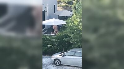 Gay neighbor takes a massive one raw