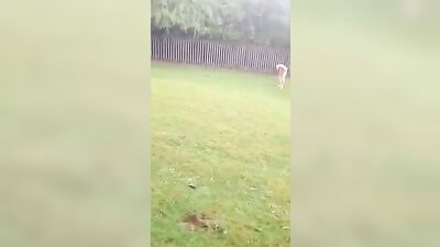 Friends with benefits, two guys having a good time, engaging in some hot and steamy action