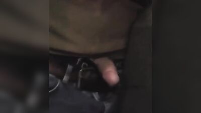 Penetrating the public eye: a voyeurs view of penises in nature