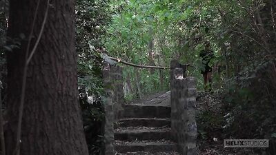 Into the Woods with HX, Part Six