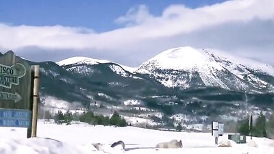 Twink Buddies Unleash a Raucous Cabin Fuckfest ,