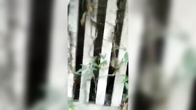 Public Servant Caught in the Act: An Amateur Bareback Black Voyeur Scene Caught on Camera