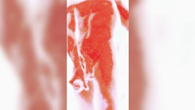 Lava Hot Jock Jerks Off His Big Uncut Cock