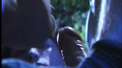 French Connection - A Day at the Park