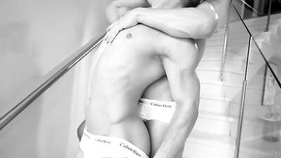 Dick Driven: Felix Fox Takes on the Action, Ass Play and Cum Shots