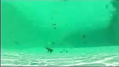 They loving outdoors - 303