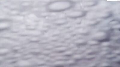 After Road Trip: Bareback Love, Bareback Action and Bareback Fun!