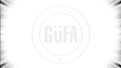 Mans Best - Sexflash Gay Porn Videos