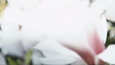 Twinks In Love: The Ultimate Bareback Handjob & Blowjob Scene