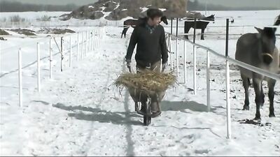 Straight-acting soldiers get their holes filled in high definition